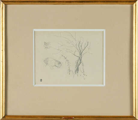 Серов Валентин Александрович. Наброски кошки и растений 